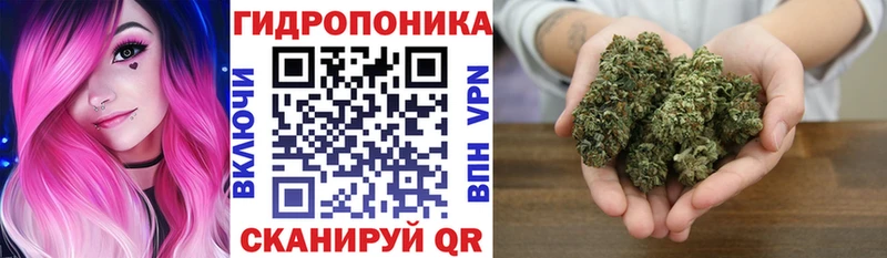 Как найти наркотики Щучье Кокаин  A-PVP  ГАШ  Каннабис  Меф мяу мяу 
