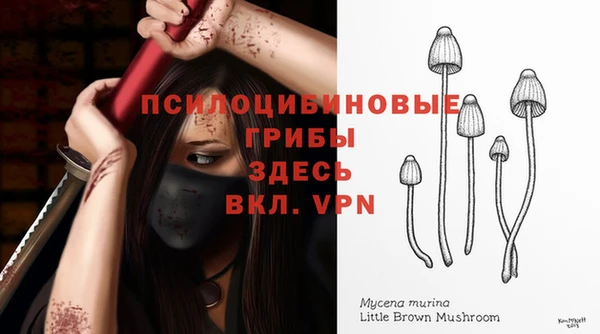 гашишное масло Магас