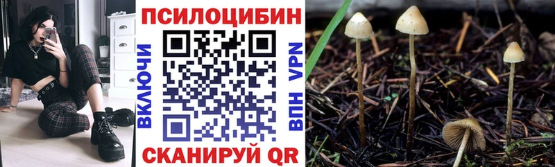 Галлюциногенные грибы MAGIC MUSHROOMS Щучье